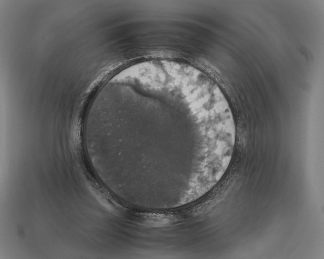 X0000112530347200909281043