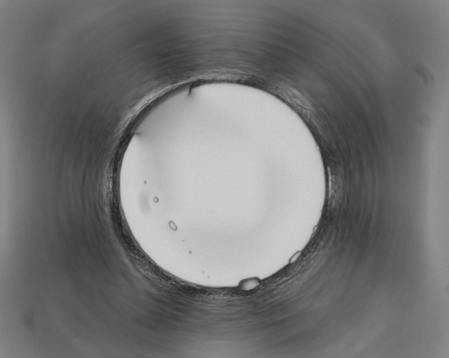 X0000112530348200909281043