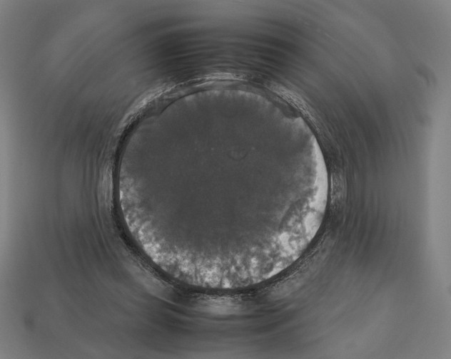 X0000112530349200909281043