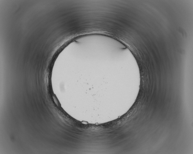 X0000112530350200909281043