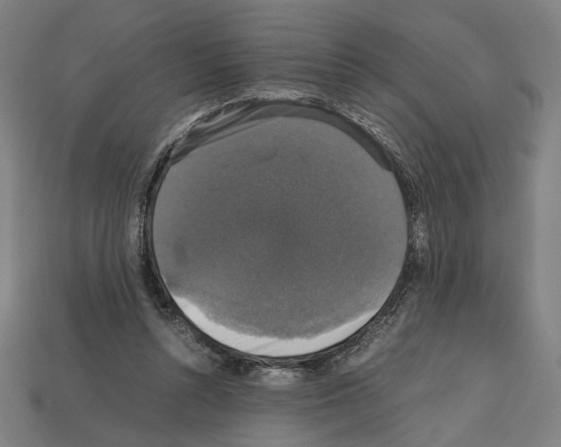 X0000112530352200909281043