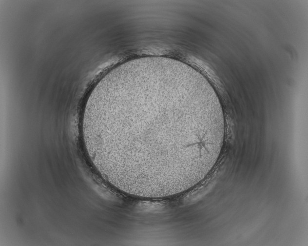 X0000112530354200909281043