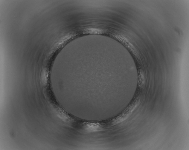 X0000112530355200909281043