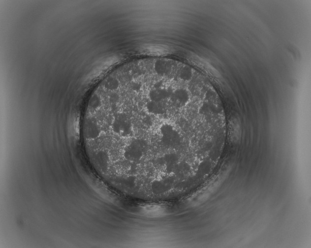 X0000112530358200909281043