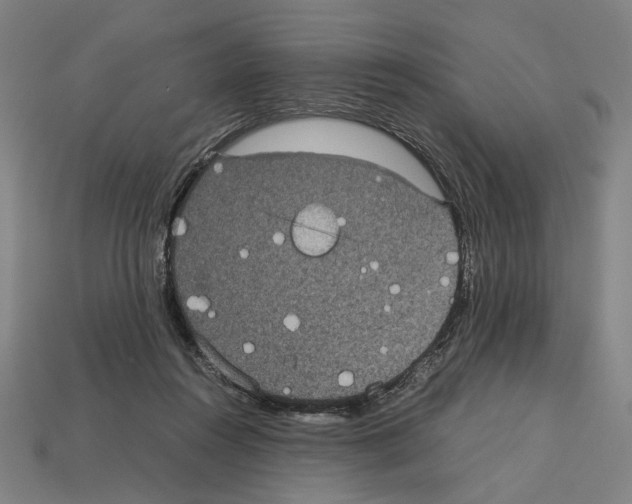 X0000112530360200909281043