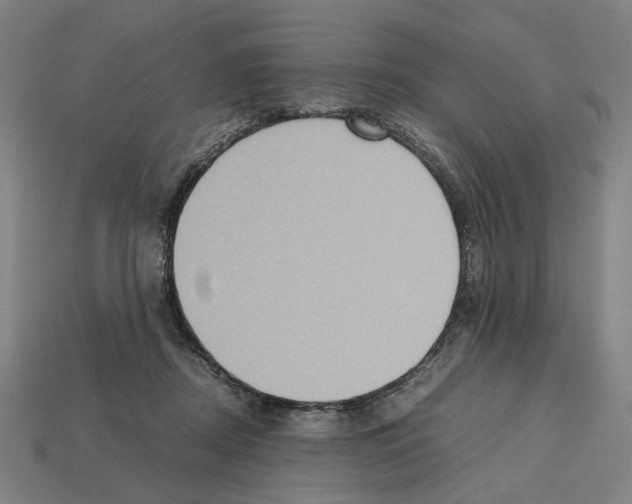 X0000112530362200909281043