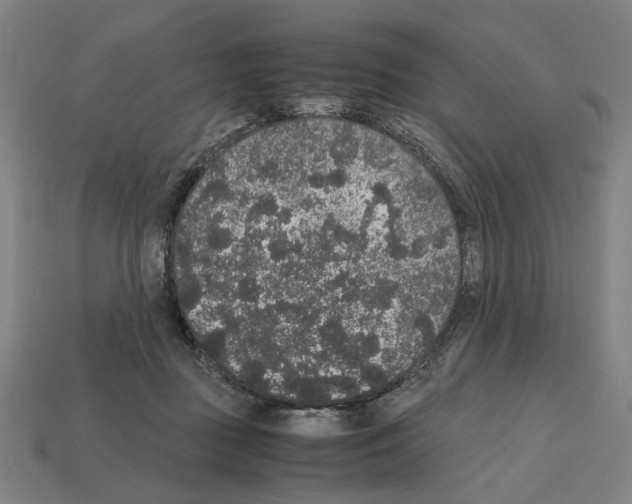 X0000112530363200909281043