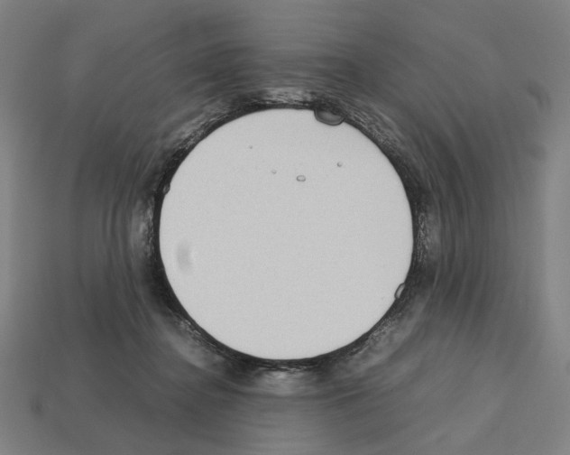 X0000112530364200909281043