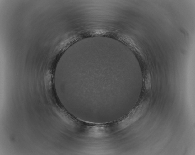 X0000112530366200909281043