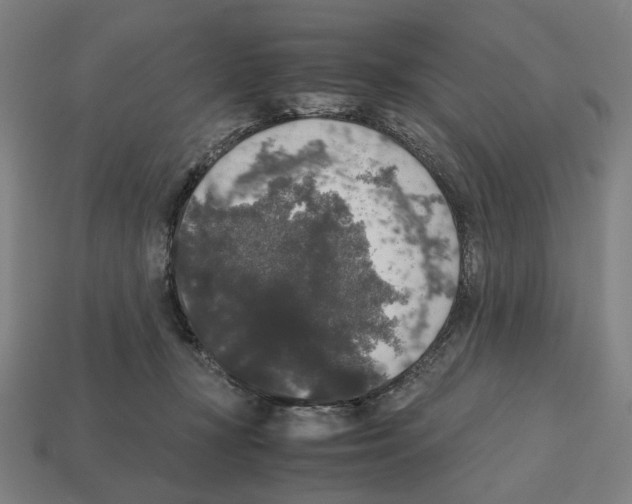 X0000112530367200909281043