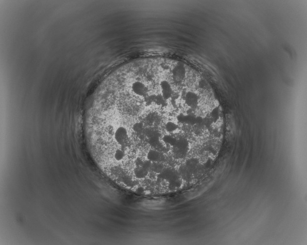 X0000112530369200909281043