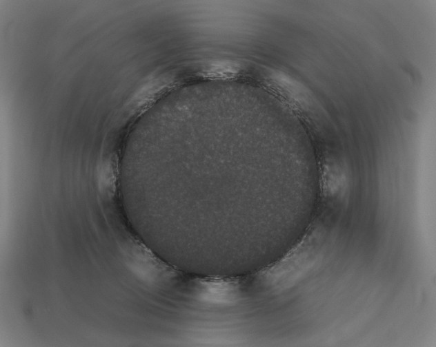 X0000112530370200909281043