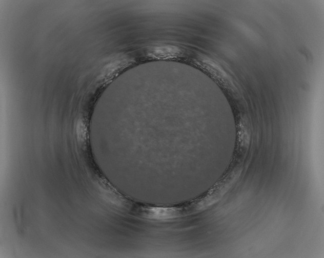 X0000112530371200909281043