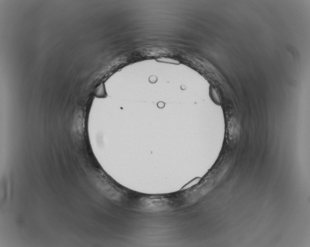 X0000112530372200909281043