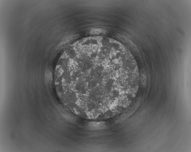 X0000112530375200909281043