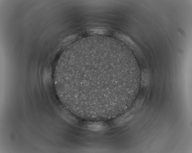 X0000112530377200909281043