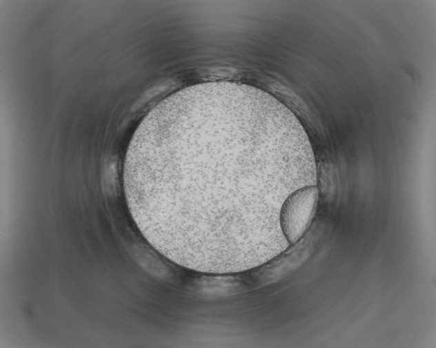 X0000112530378200909281043