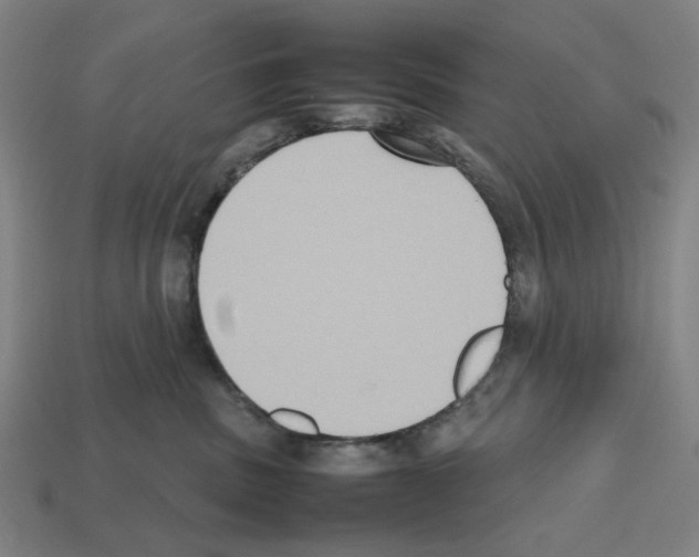 X0000112530379200909281043