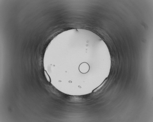 X0000112530380200909281043