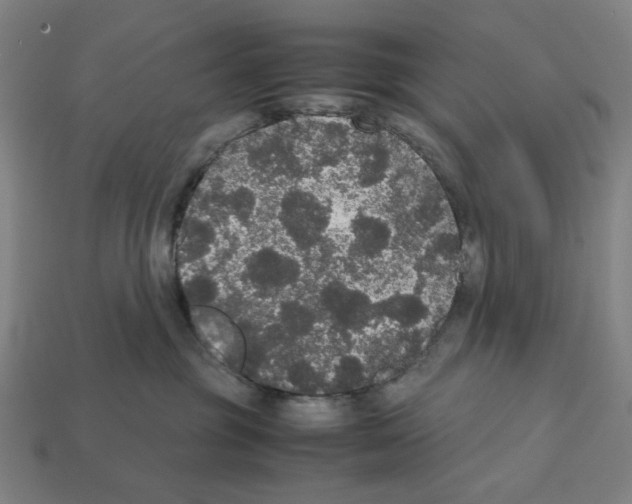 X0000112530381200909281044