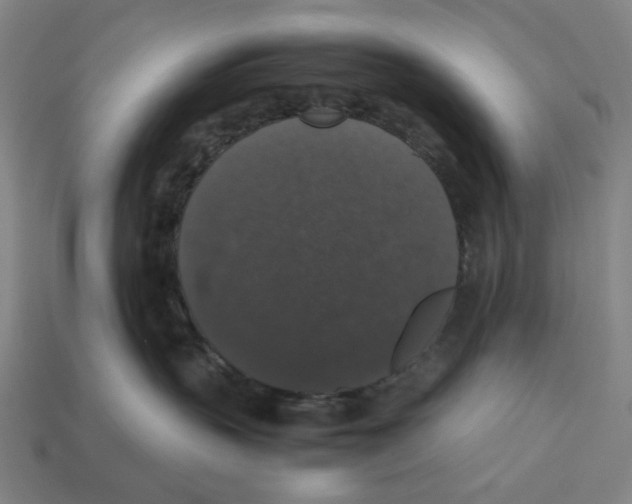 X0000112530383200909281044