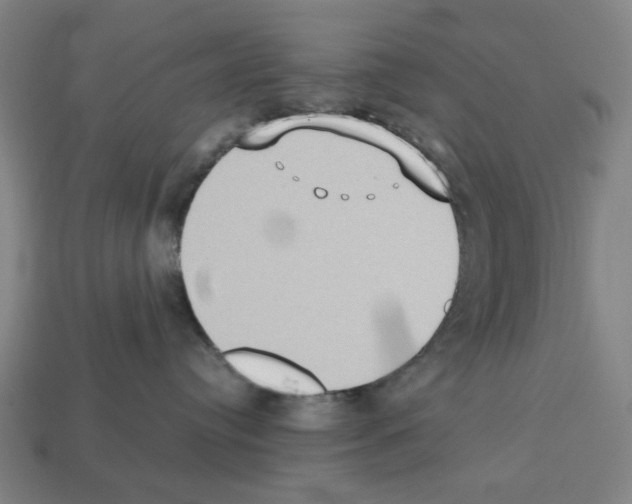 X0000112530384200909281044