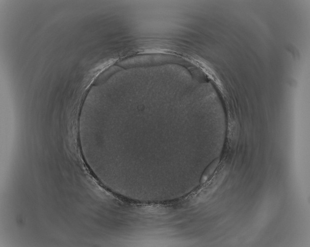 X0000112530385200909281043