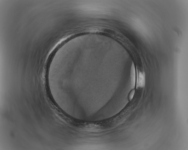 X0000112530387200909281043