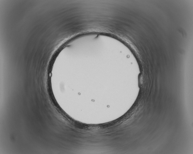 X0000112530391200909281043