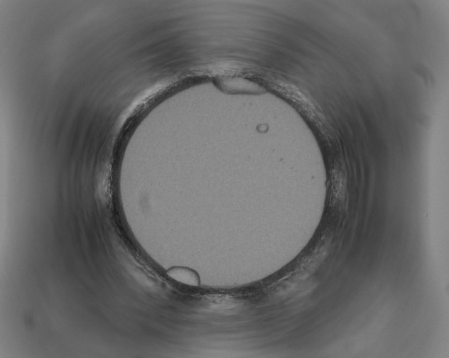 X0000112530392200909281043