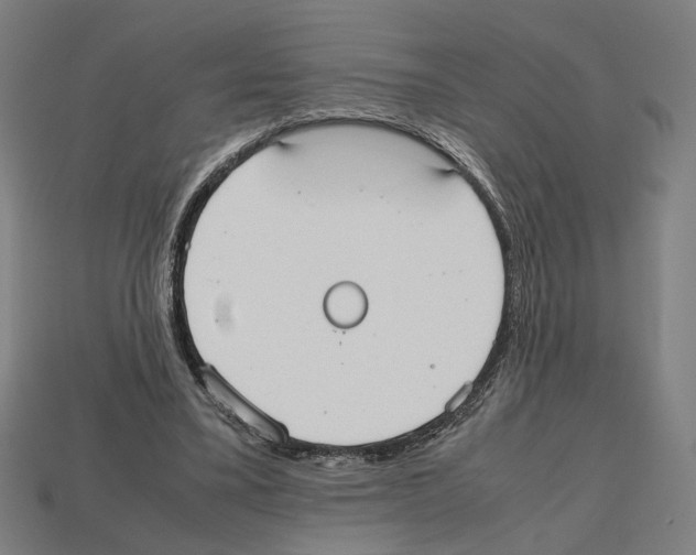 X0000112530395200909281043