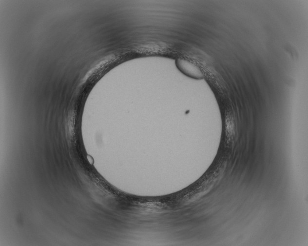 X0000112530396200909281043