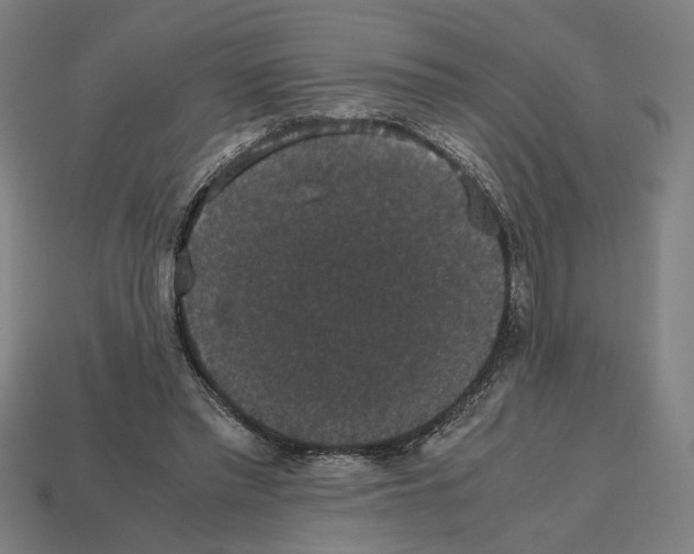 X0000112530397200909281043