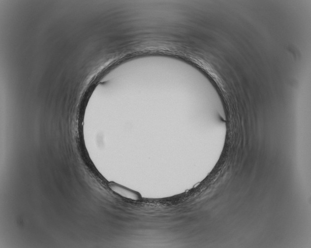 X0000112530399200909281043