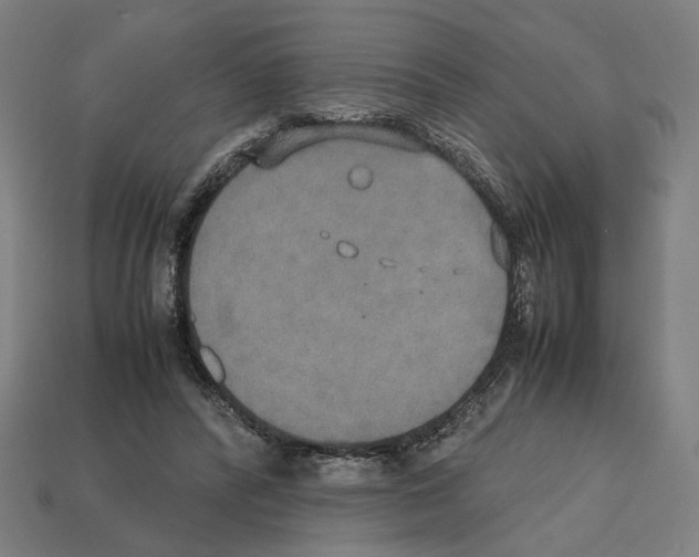 X0000112530400200909281043