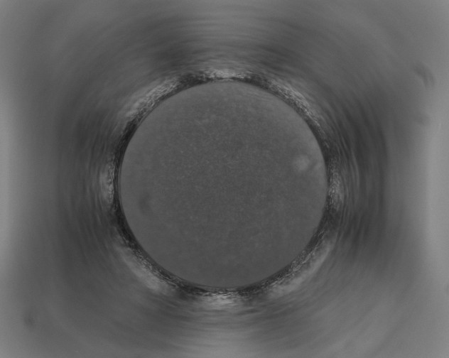 X0000112530402200909281043