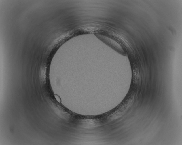 X0000112530404200909281043