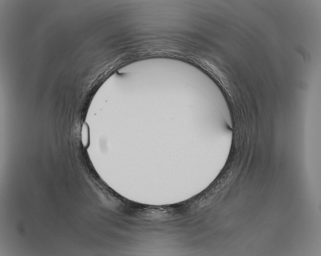 X0000112530405200909281042