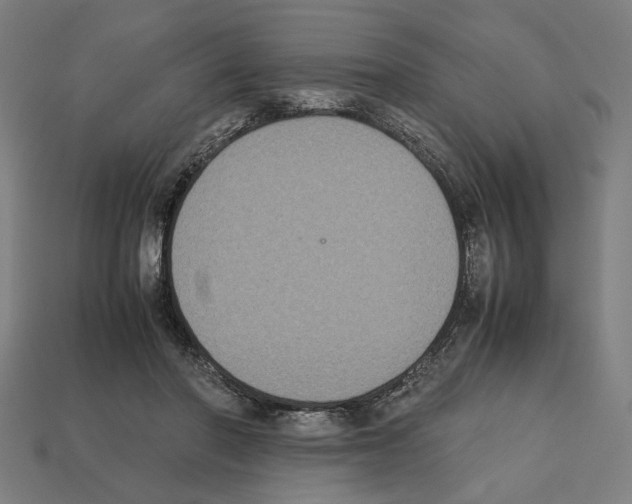 X0000112530406200909281042