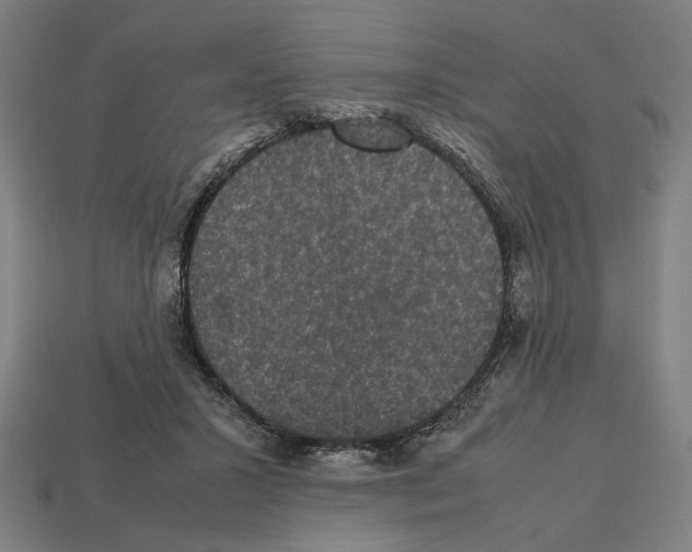 X0000112530407200909281042