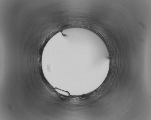 X0000112530411200909281042