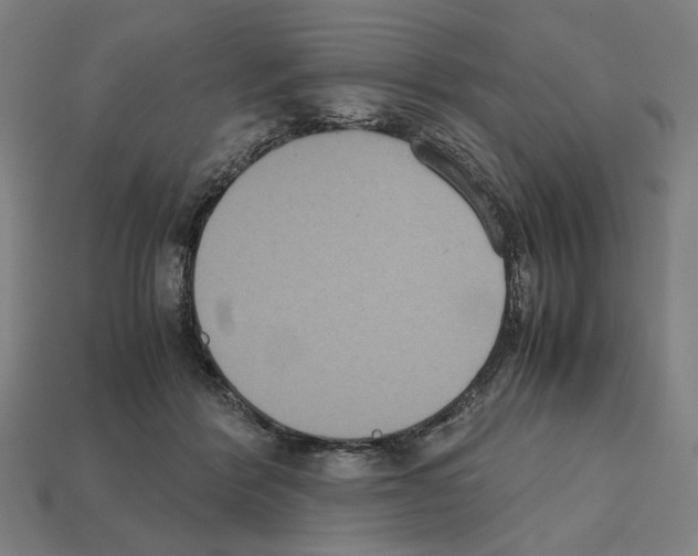 X0000112530412200909281042