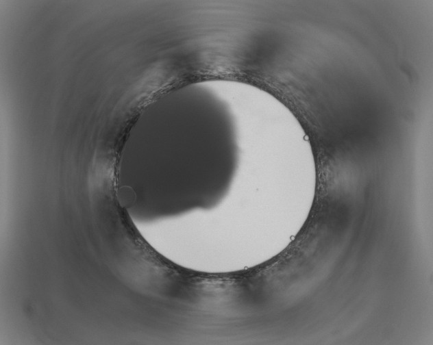 X0000112530415200909281042