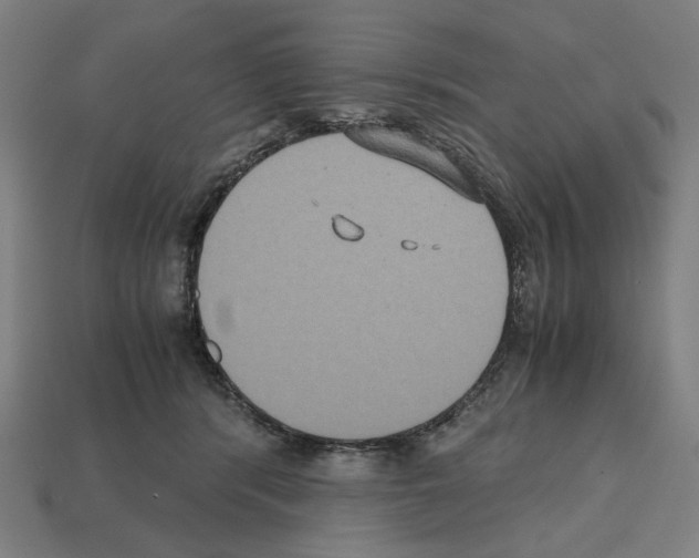 X0000112530416200909281042