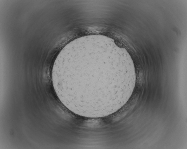 X0000112530418200909281042