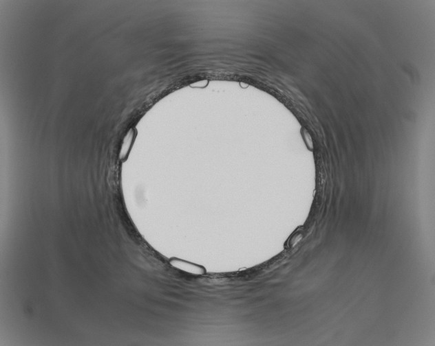 X0000112530419200909281042