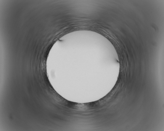 X0000112530425200909281042