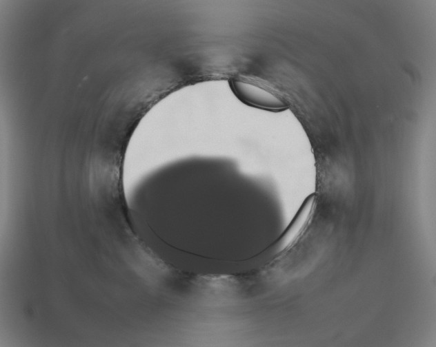 X0000112530427200909281042