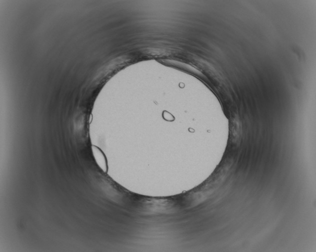 X0000112530428200909281042