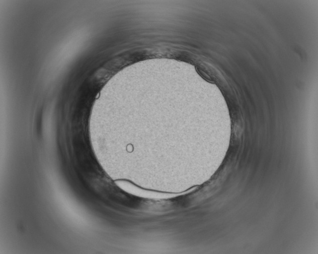 X0000112530429200909281042